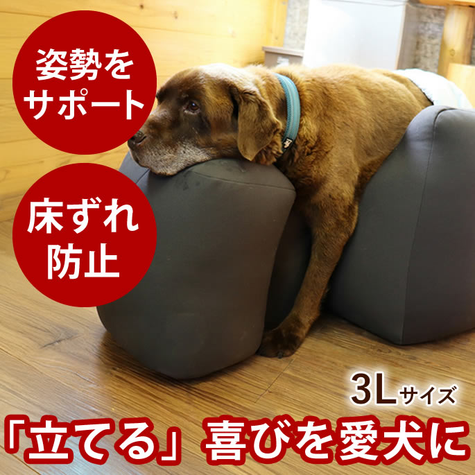 楽天市場】【愛犬用ベッド】 リラクッション 3L チャコールグレー【立