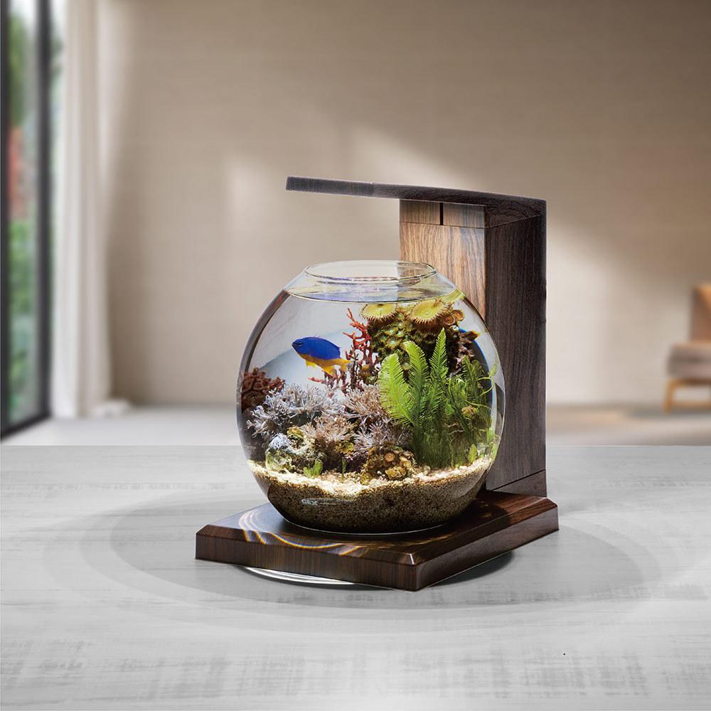 熱帯魚水槽セット