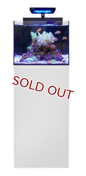 中古品 シェル2 海水水槽 オールインワン水槽 水槽台付き(白) 引き取り