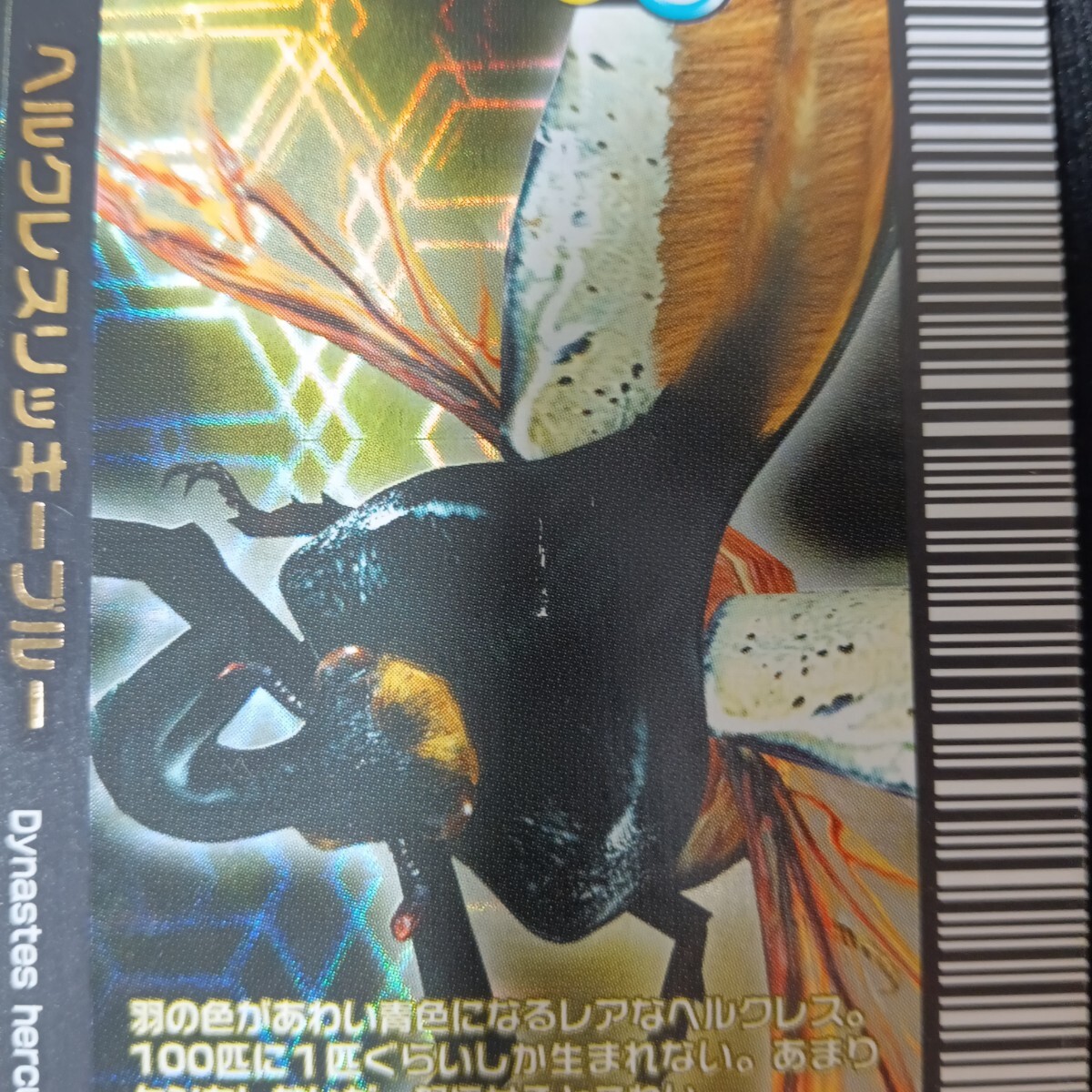 甲虫王者ムシキング ヘルクレスリッキーブルー 2005年夏限定デザイン