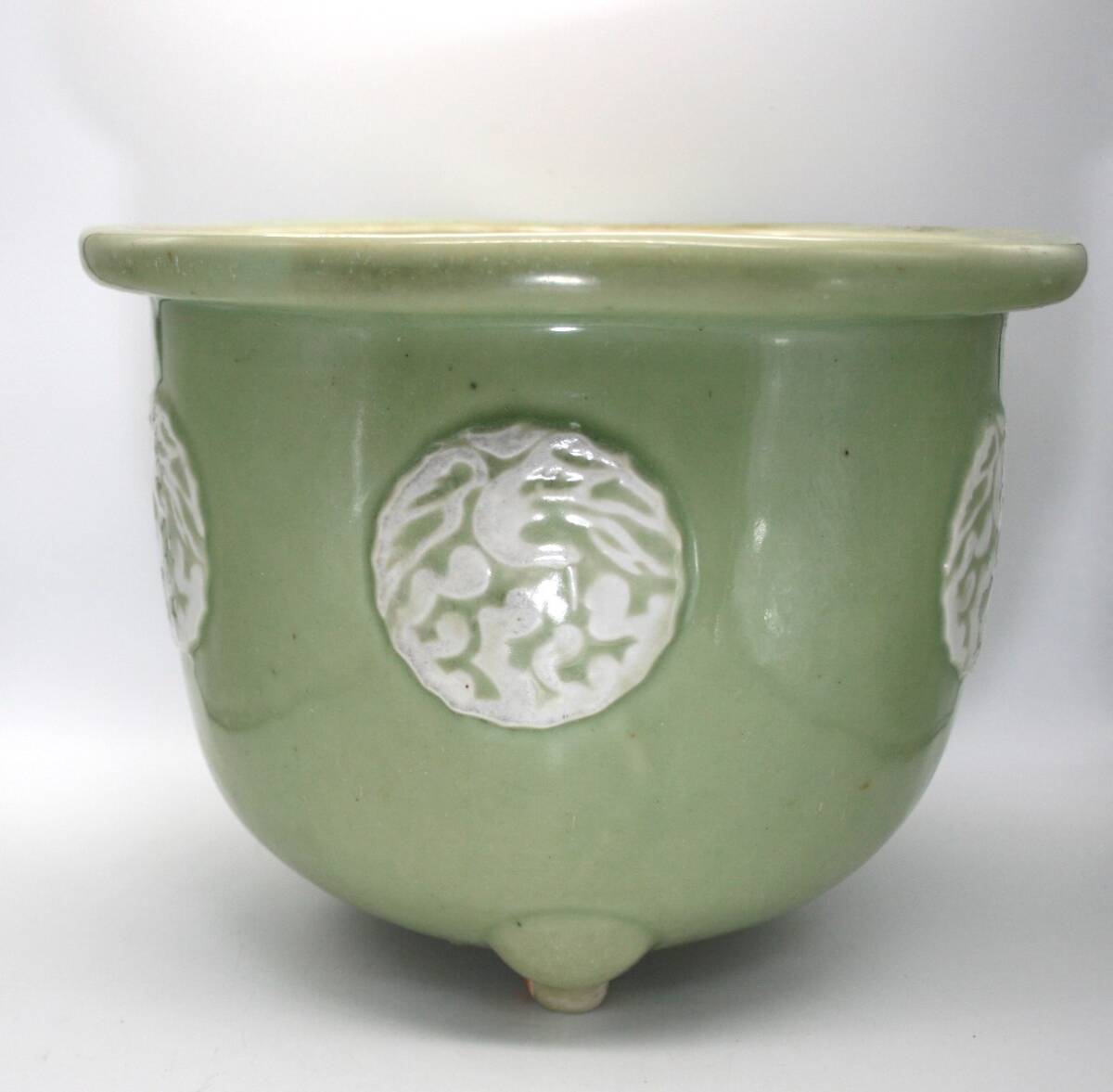 尾張焼 瀬戸焼 青磁 梅柄 丸形 盆栽鉢 盆栽 植木鉢 尾張焼 瀬戸焼 青磁
