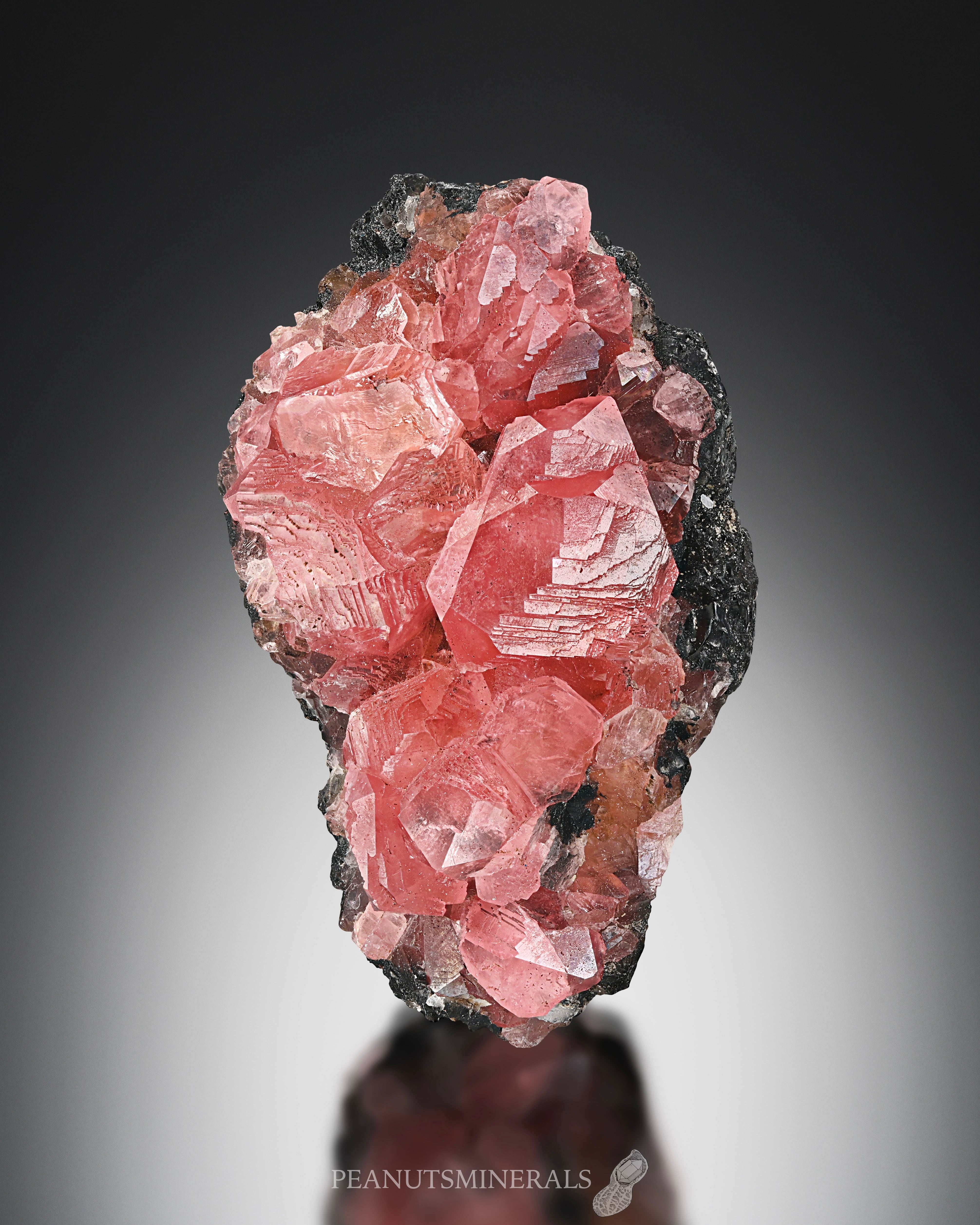 ロードクロサイト【Rhodochrosite】ペルー産 | PEANUTS MINERALS