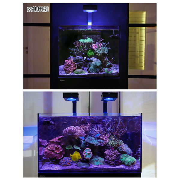 Red Sea レッドシー REEF LED 90 サンゴ 230793 1個（直送品） - アスクル