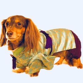 B385.pon2pan2☆オーダー犬☆2ウェイ☆お引きずりお着物