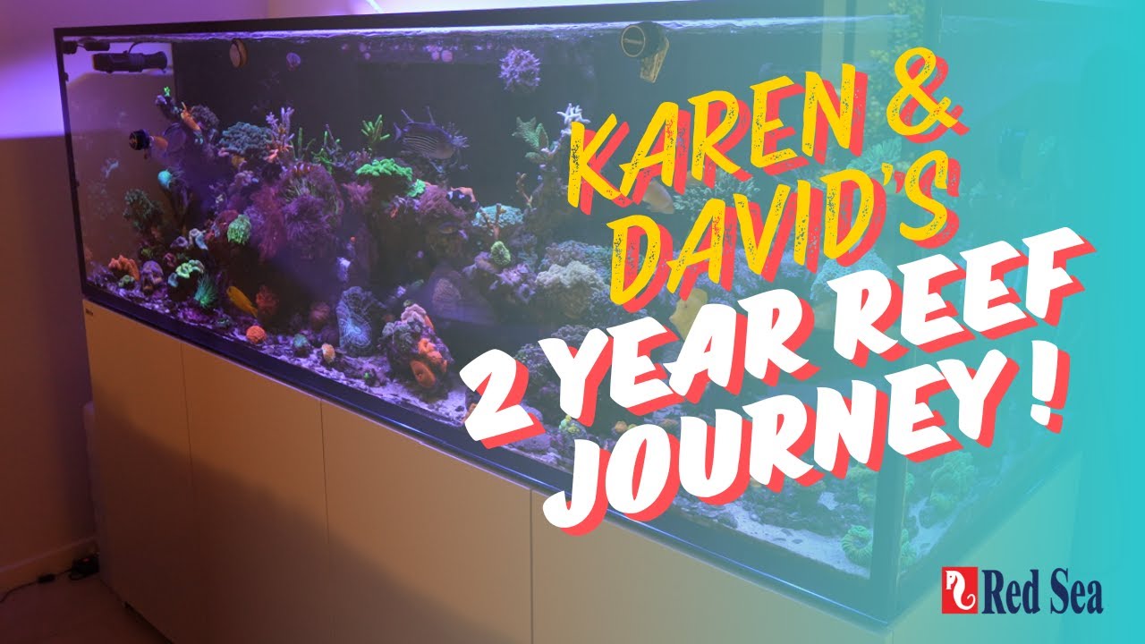 レッドシーS-1000フルセット