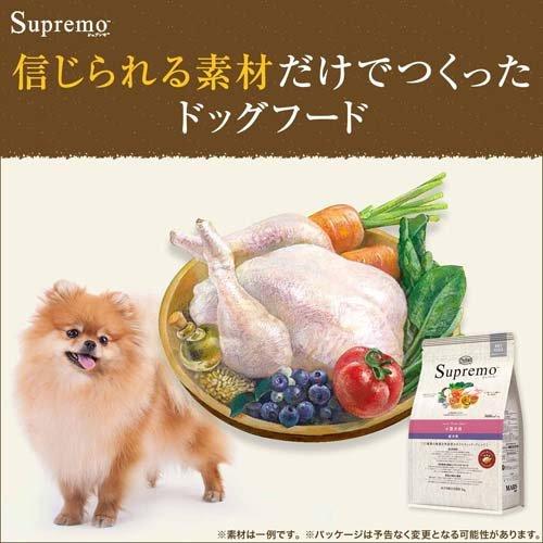 ニュートロ シュプレモ 小型犬用 成犬用 3kg ドッグフード