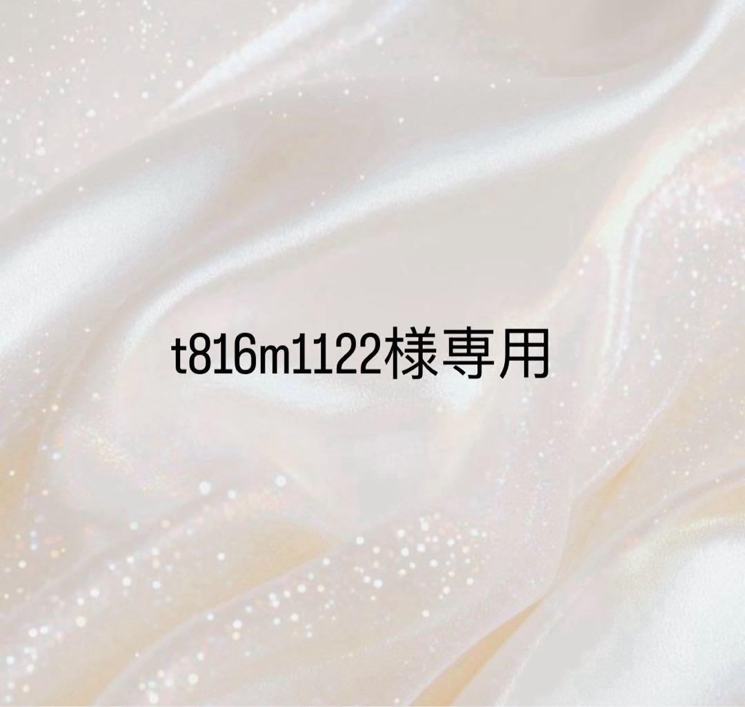 LouisVuitton Tシャツ 半袖 新品 タグ付き Mサイズ ルイヴィトン 大人カジュアルに着られる♪】ルイヴィトン Tシャツ 半袖 (Louis