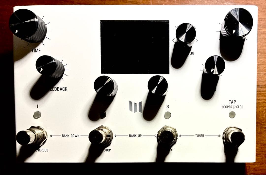 ギター Meris LVX
