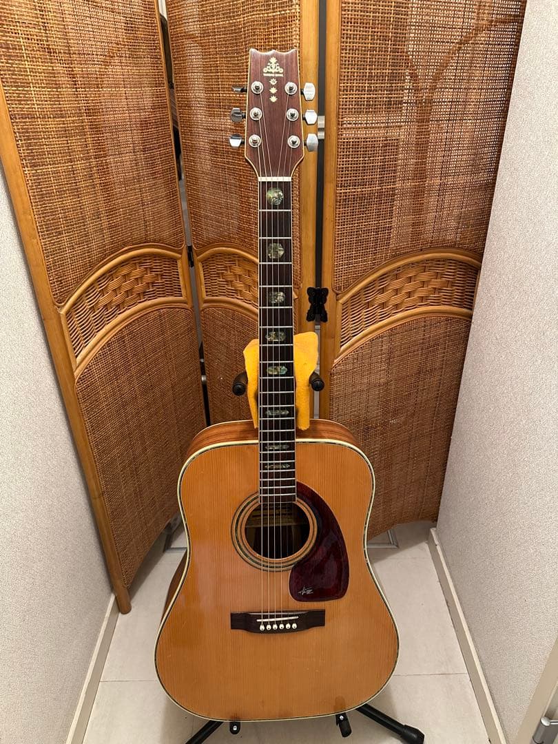 義*様 美品❗️タケハルギターWT-300 弾きやすさ抜群‼️ 義*様 美品❗️タケハルギターWT-300 弾きやすさ抜群‼️ - メルカリ