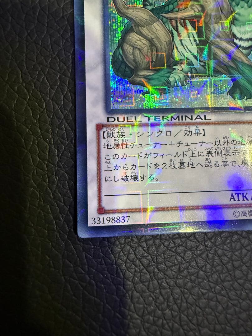 ナチュル・ビースト　dtc