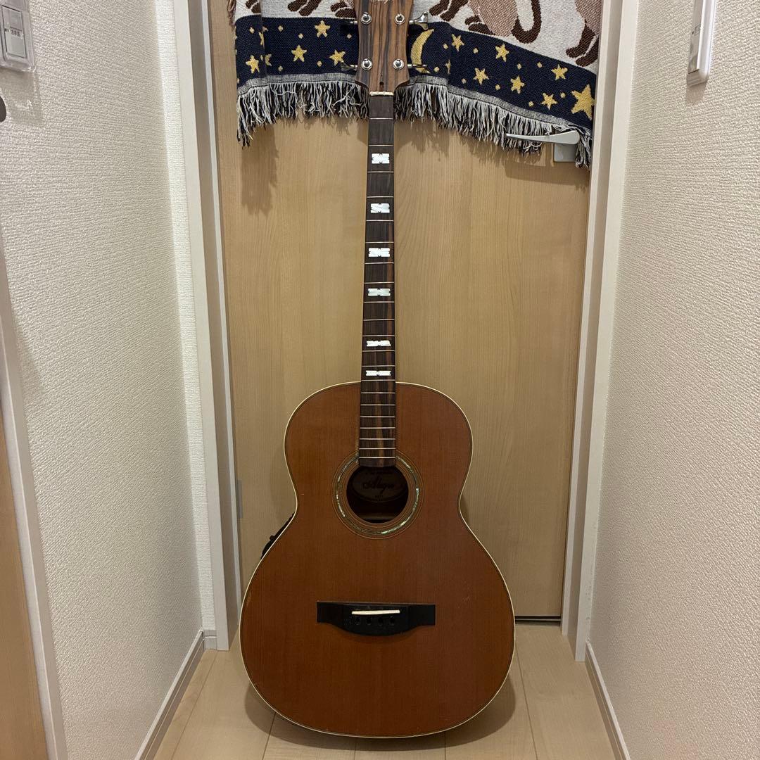 Alegre アコースティックベース　アンプ接続可能 Alegre アコースティックベース アンプ接続可能 Alegre