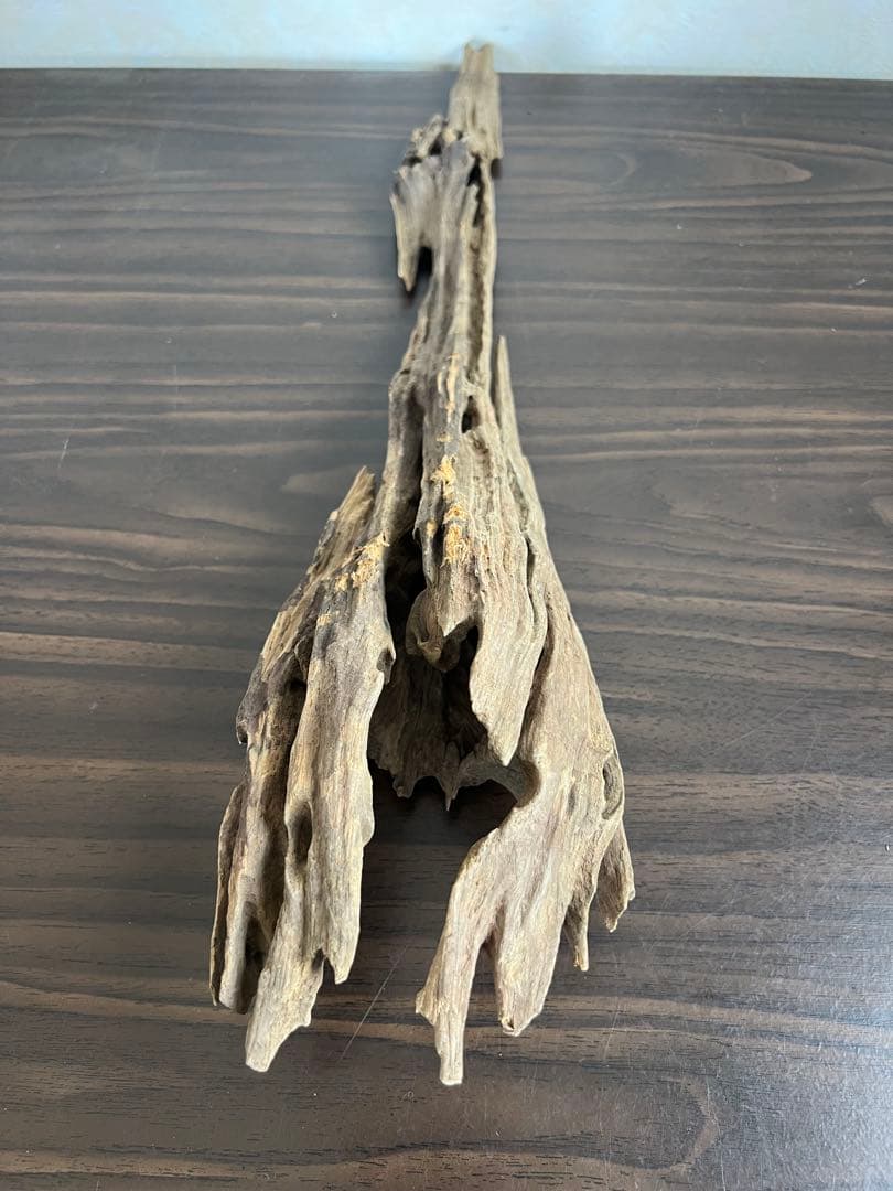 XM-446 流木 マシンガンウッド ブランチウッド アクアリウム - メルカリ