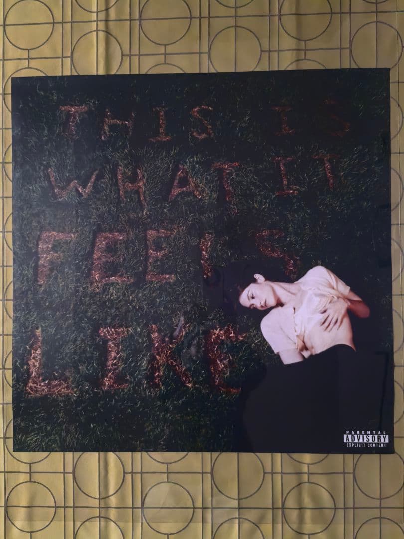 グレイシーエイブラムス-ThisIs WhatItFeelsLike特注ポスター Amazon.com: Gracie Abrams - This Is What It Feels Like Canvas